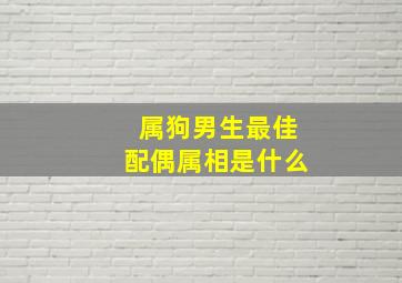 属狗男生最佳配偶属相是什么