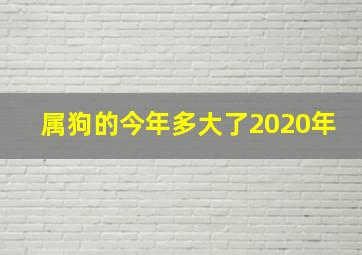 属狗的今年多大了2020年