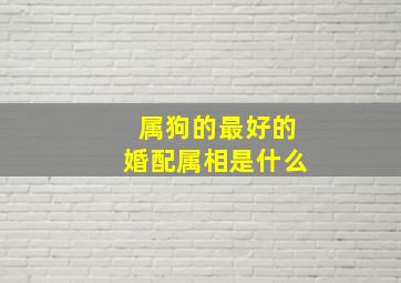 属狗的最好的婚配属相是什么