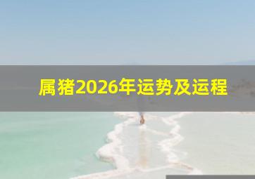 属猪2026年运势及运程