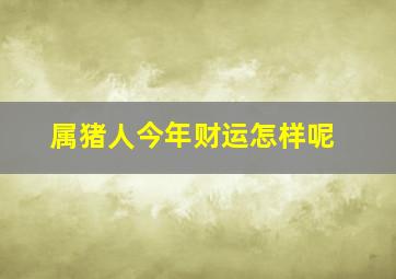 属猪人今年财运怎样呢