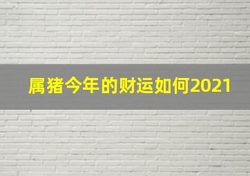 属猪今年的财运如何2021