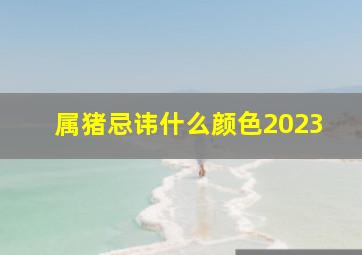 属猪忌讳什么颜色2023