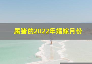 属猪的2022年婚嫁月份