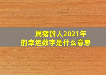 属猪的人2021年的幸运数字是什么意思