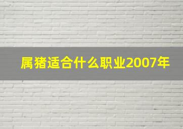 属猪适合什么职业2007年