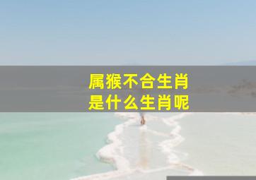 属猴不合生肖是什么生肖呢