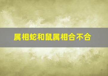 属相蛇和鼠属相合不合