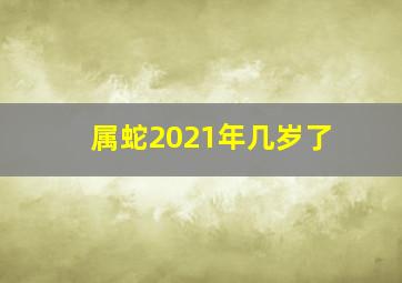 属蛇2021年几岁了