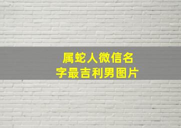 属蛇人微信名字最吉利男图片