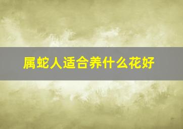 属蛇人适合养什么花好