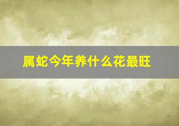 属蛇今年养什么花最旺