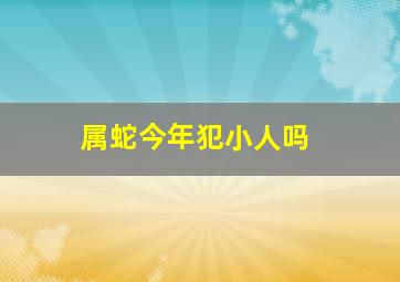 属蛇今年犯小人吗