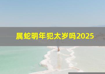 属蛇明年犯太岁吗2025