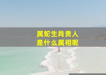 属蛇生肖贵人是什么属相呢