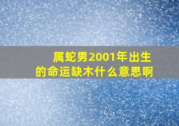 属蛇男2001年出生的命运缺木什么意思啊