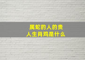 属蛇的人的贵人生肖鸡是什么