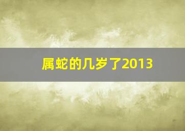 属蛇的几岁了2013