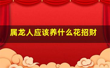 属龙人应该养什么花招财