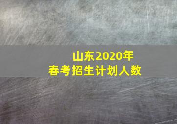 山东2020年春考招生计划人数