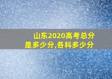 山东2020高考总分是多少分,各科多少分