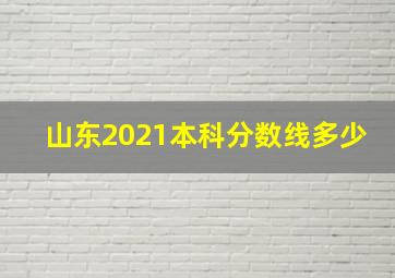 山东2021本科分数线多少