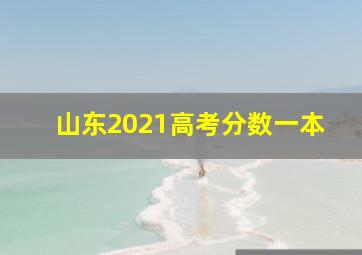 山东2021高考分数一本