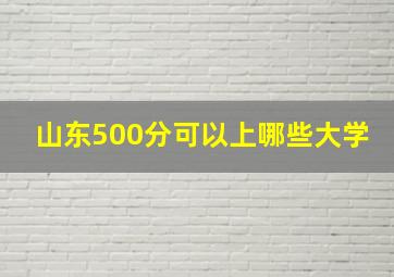 山东500分可以上哪些大学