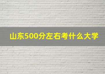 山东500分左右考什么大学