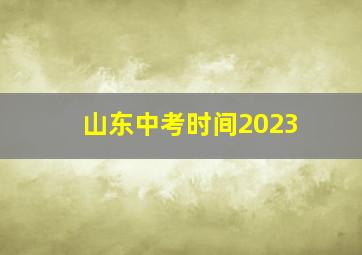 山东中考时间2023