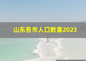 山东各市人口数量2023