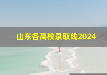 山东各高校录取线2024