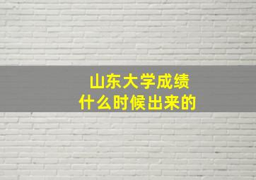 山东大学成绩什么时候出来的