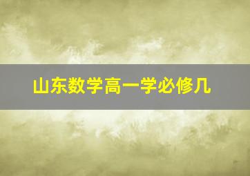 山东数学高一学必修几