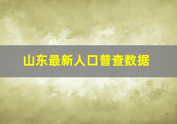 山东最新人口普查数据