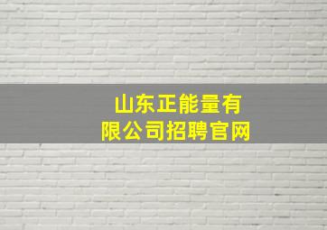 山东正能量有限公司招聘官网