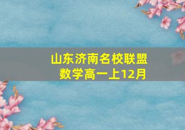 山东济南名校联盟数学高一上12月