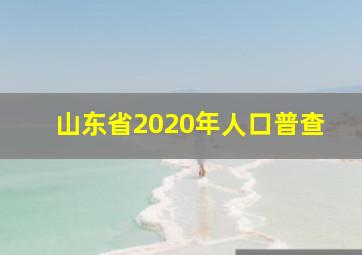 山东省2020年人口普查