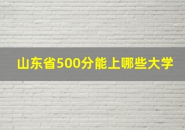 山东省500分能上哪些大学