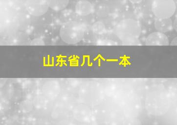 山东省几个一本