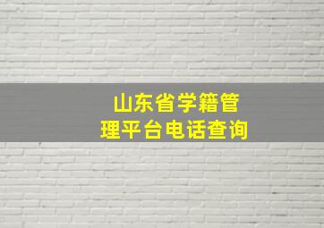 山东省学籍管理平台电话查询