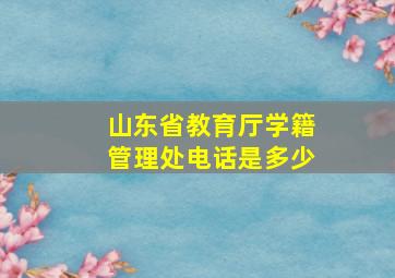 山东省教育厅学籍管理处电话是多少