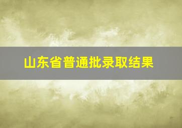 山东省普通批录取结果