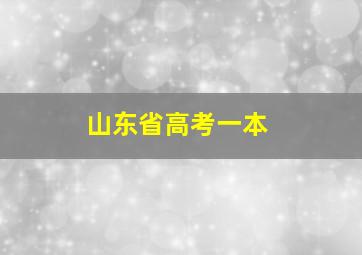 山东省高考一本