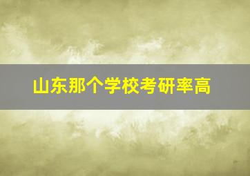 山东那个学校考研率高