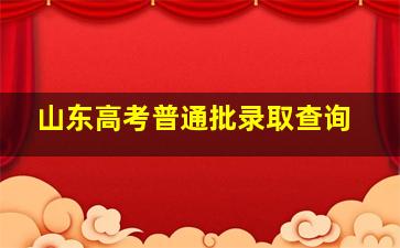 山东高考普通批录取查询