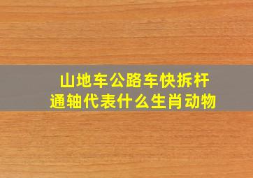 山地车公路车快拆杆通轴代表什么生肖动物