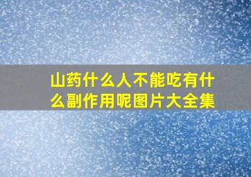 山药什么人不能吃有什么副作用呢图片大全集