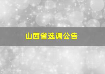 山西省选调公告