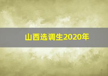 山西选调生2020年